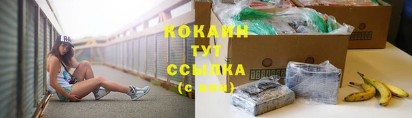 мдпв Кукмор