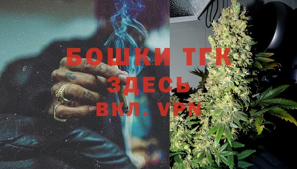 мдпв Кукмор