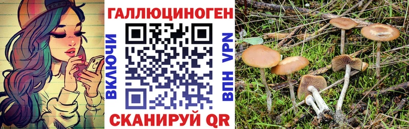 Псилоцибиновые грибы прущие грибы Купить Суровикино